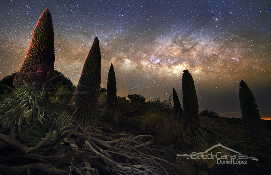 Grupo de Tajinastes y via lactea