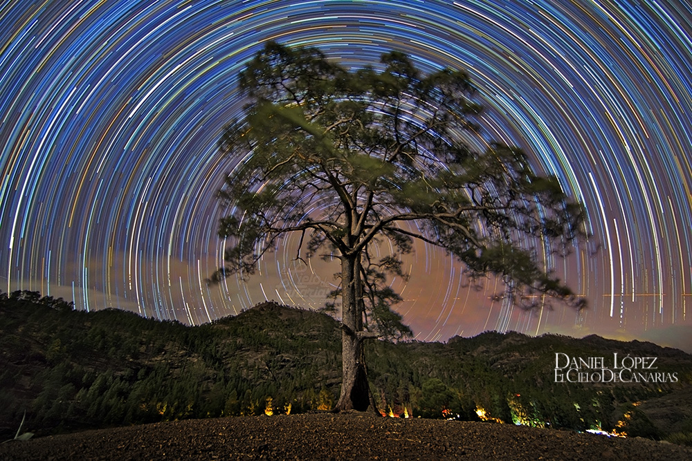 StarTrails Pino de Casandra DLopez