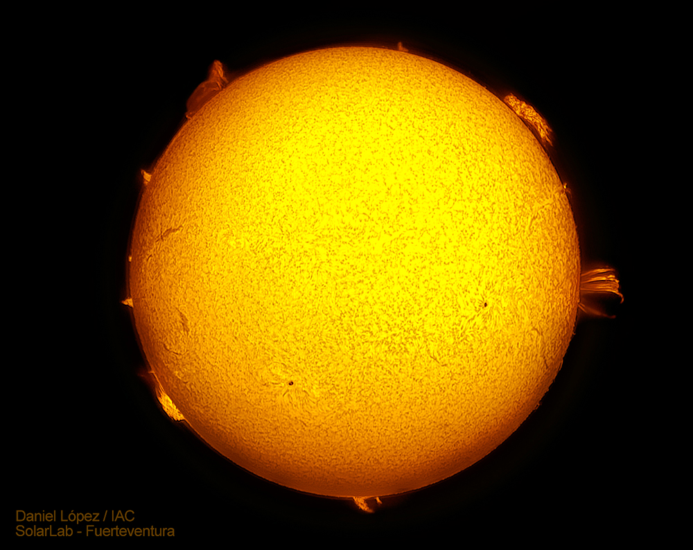 Sol Ha Fuerteventura 15-10-14 face