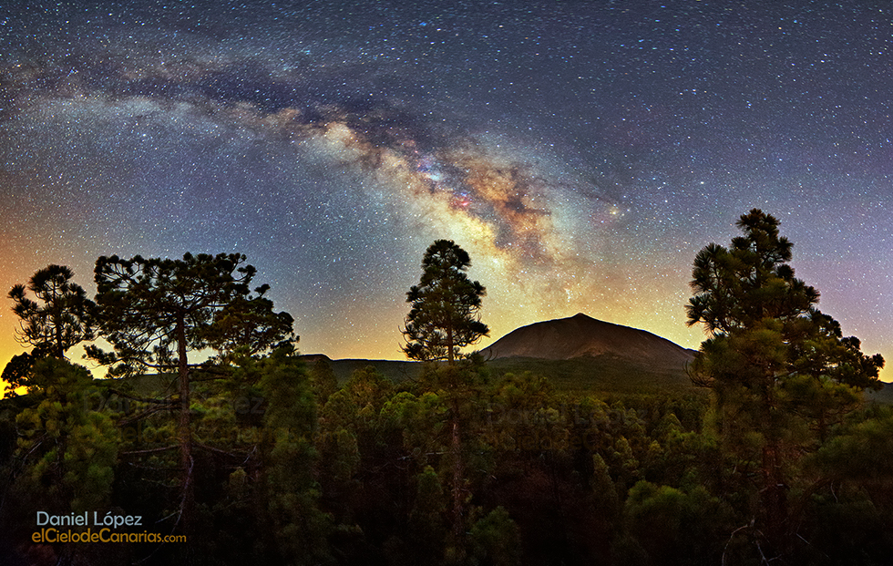 Pinar_Teide_Via_Lactera_DLopez